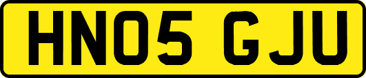 HN05GJU