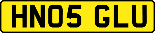HN05GLU