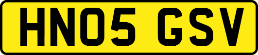 HN05GSV