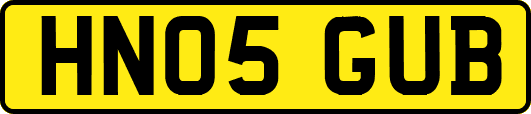 HN05GUB