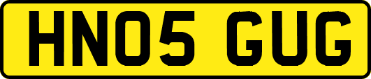 HN05GUG