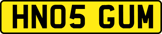 HN05GUM