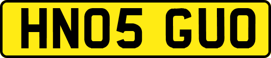 HN05GUO