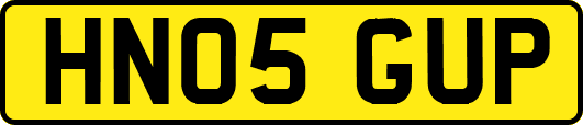 HN05GUP