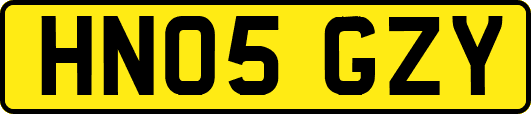 HN05GZY