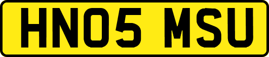 HN05MSU