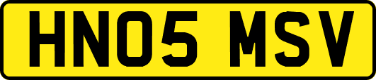 HN05MSV