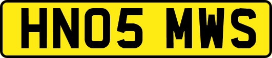 HN05MWS