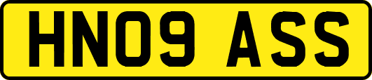 HN09ASS