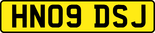HN09DSJ