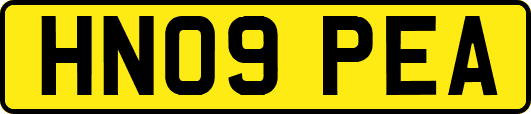 HN09PEA