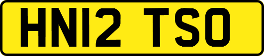 HN12TSO