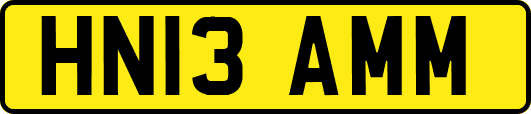 HN13AMM