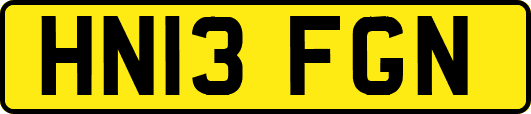 HN13FGN