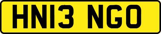 HN13NGO