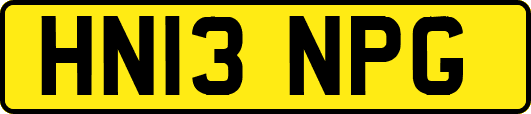 HN13NPG