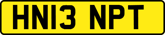 HN13NPT