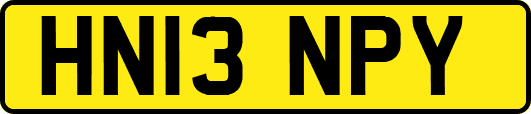 HN13NPY