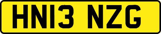 HN13NZG