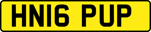 HN16PUP