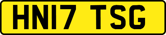 HN17TSG