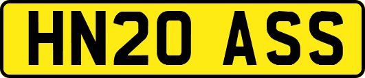 HN20ASS