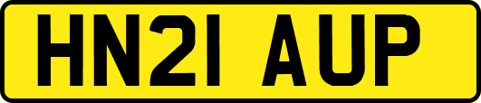 HN21AUP