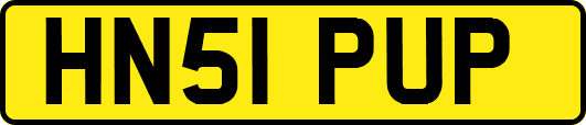 HN51PUP