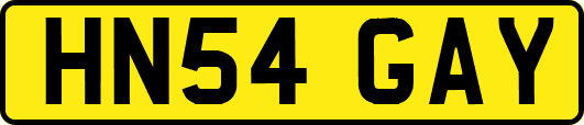 HN54GAY