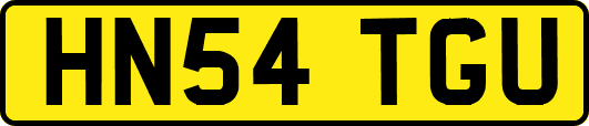 HN54TGU
