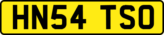 HN54TSO