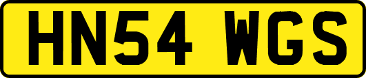 HN54WGS