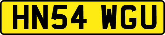 HN54WGU