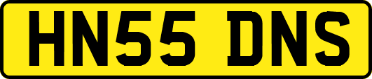 HN55DNS