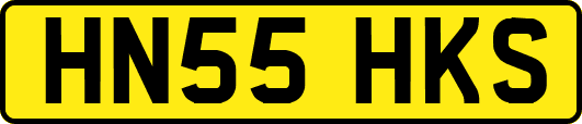 HN55HKS