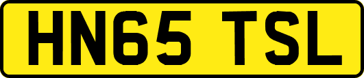 HN65TSL