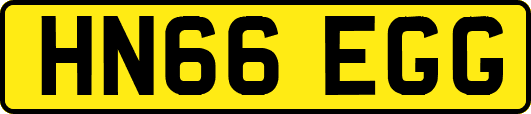 HN66EGG