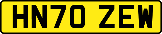 HN70ZEW