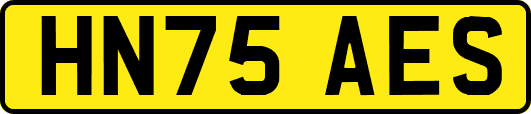 HN75AES