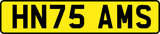 HN75AMS