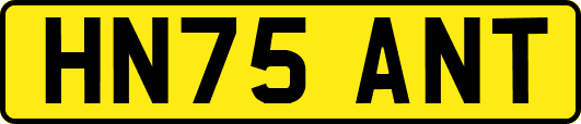 HN75ANT