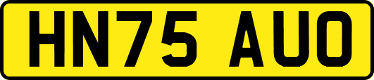 HN75AUO
