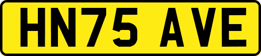HN75AVE