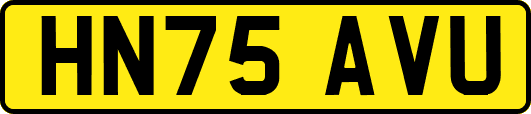 HN75AVU