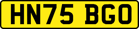 HN75BGO