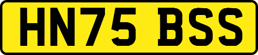 HN75BSS
