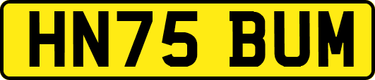 HN75BUM