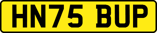 HN75BUP