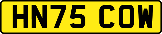HN75COW