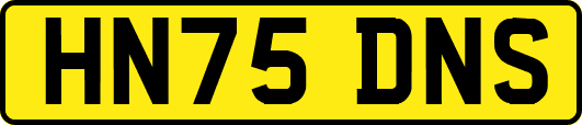 HN75DNS